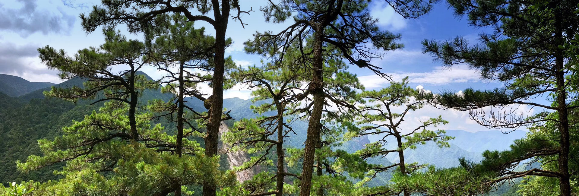 pg模拟器麻将胡了试玩版2024-pg模拟器麻将胡了试玩版免费模拟器