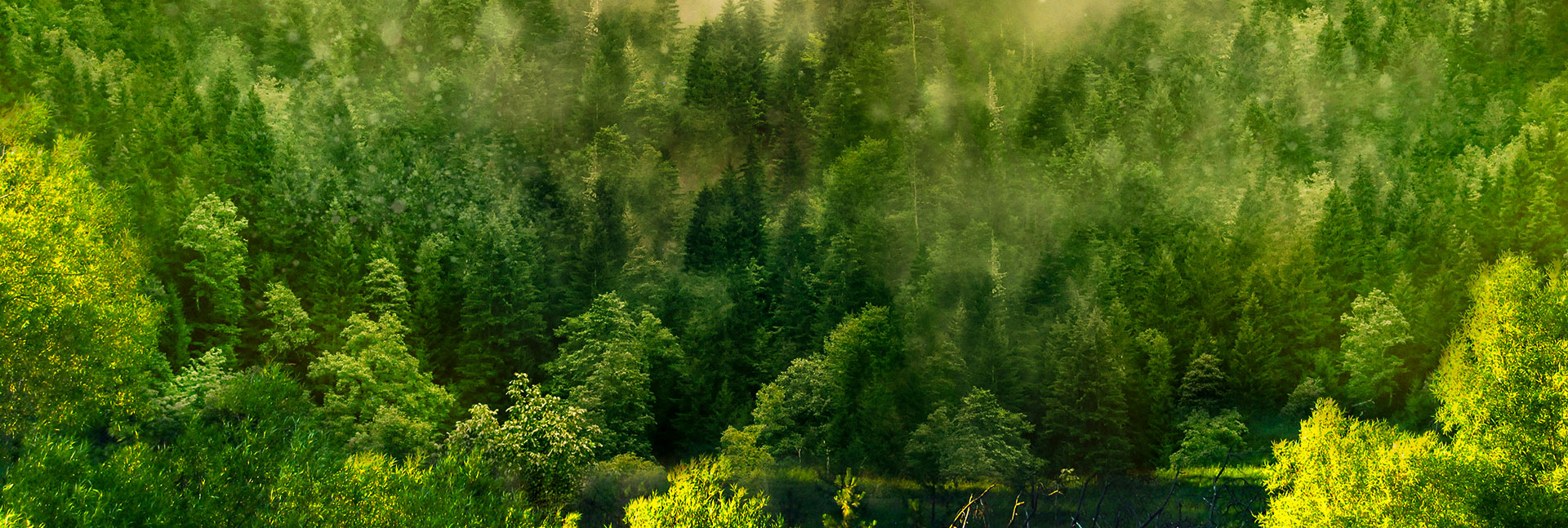 pg模拟器麻将胡了试玩版2024-pg模拟器麻将胡了试玩版免费模拟器