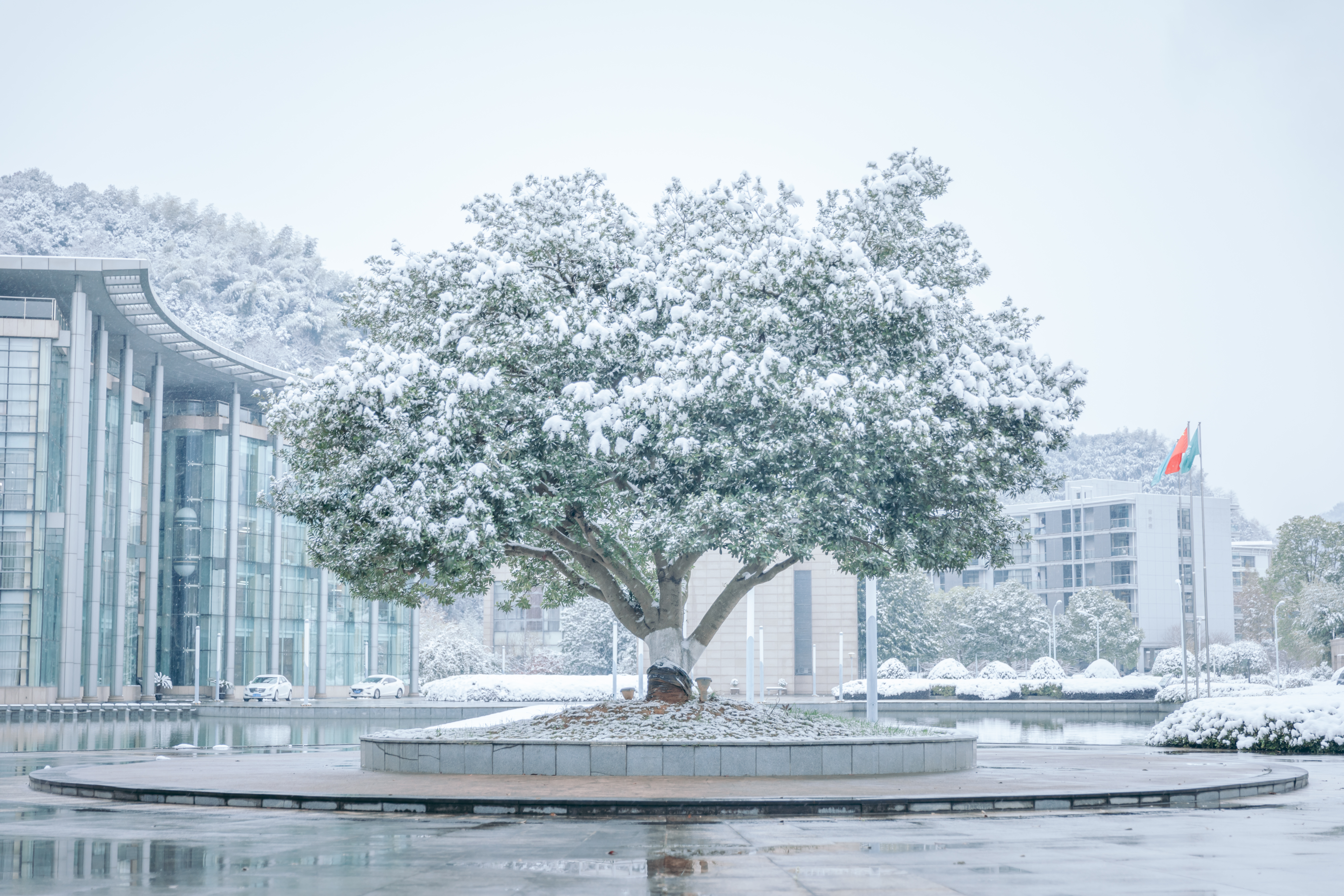 pg模拟器麻将胡了试玩版2024-pg模拟器麻将胡了试玩版免费模拟器